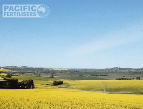 Pacific Fertiliser News – Sept 2025