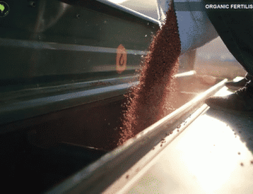 Fert News – 8Sept2026