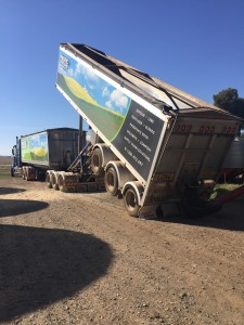 Pacfert RT tipping