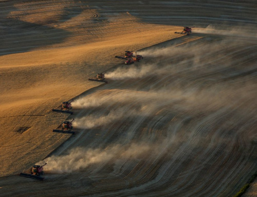 Fertiliser News Nov2025